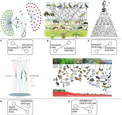 Designing (for) Urban Food Webs